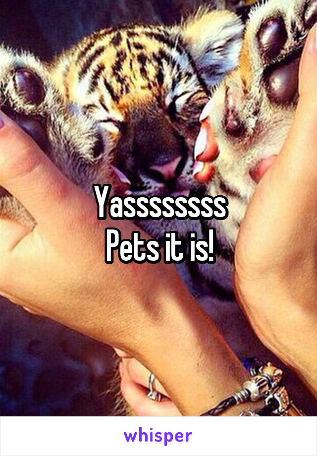 Yassssssss
Pets it is!