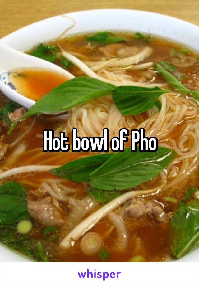 Hot bowl of Pho