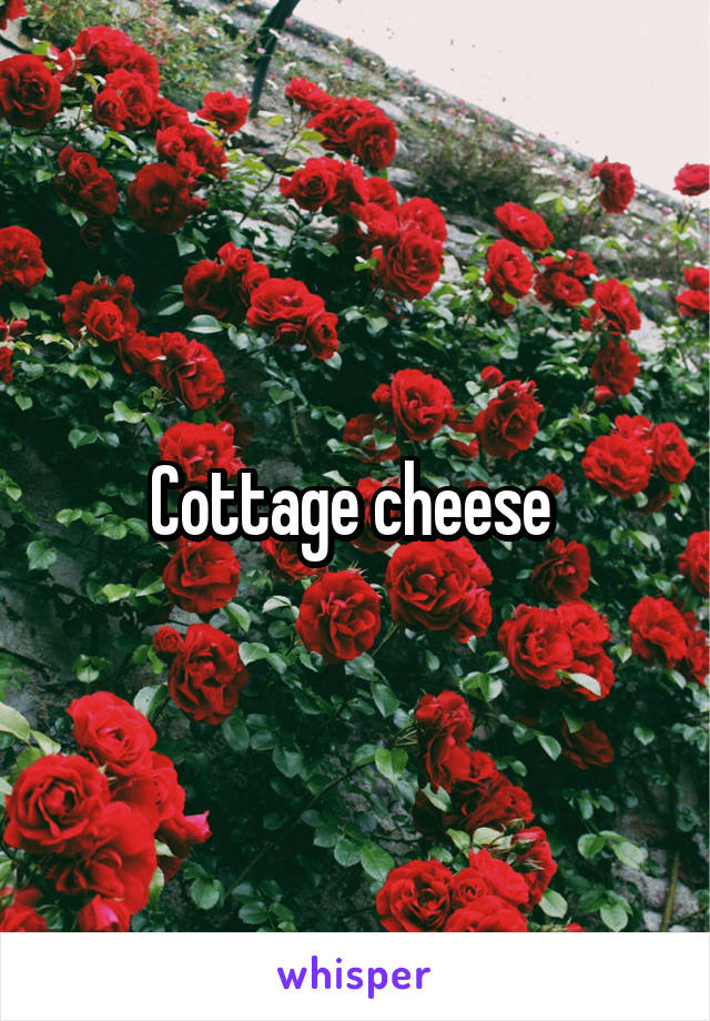 Cottage cheese 