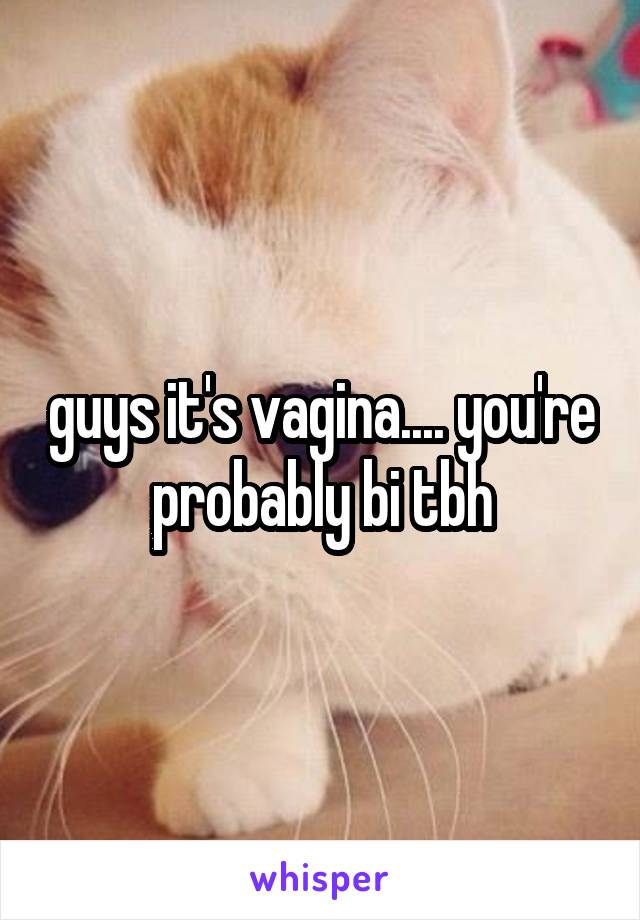 guys it's vagina.... you're probably bi tbh