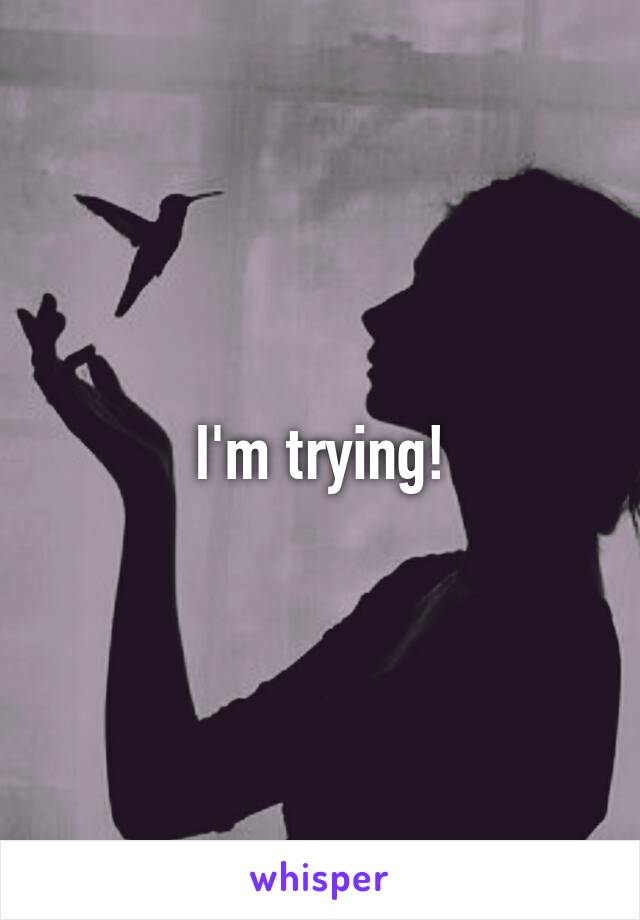 I'm trying!