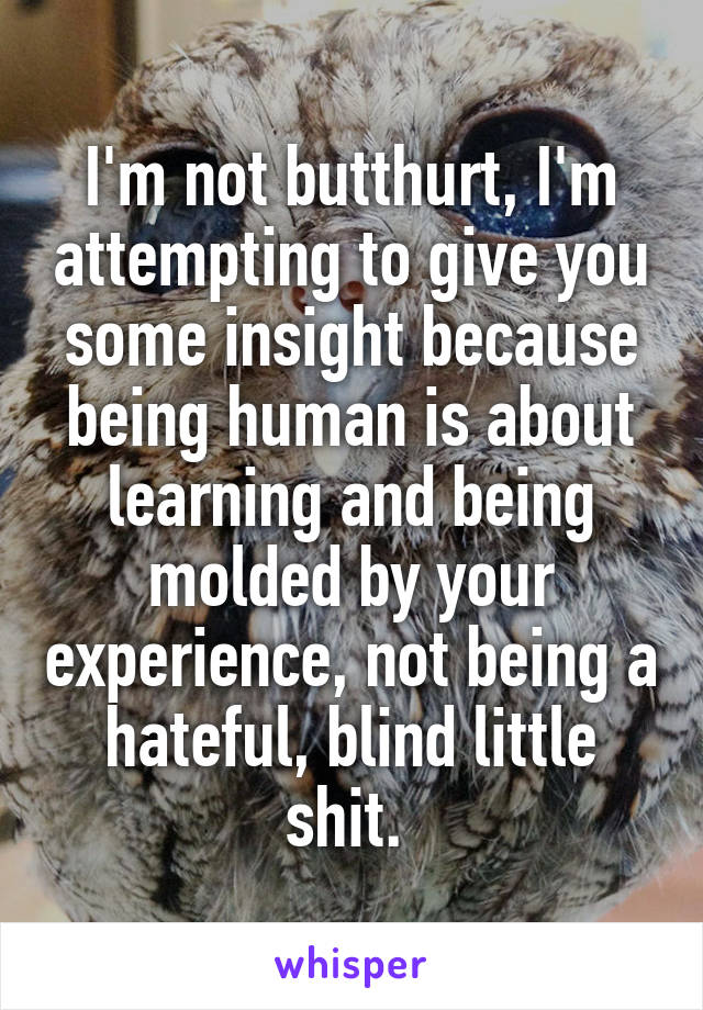 I'm not butthurt, I'm attempting to give you some insight because being human is about learning and being molded by your experience, not being a hateful, blind little shit. 