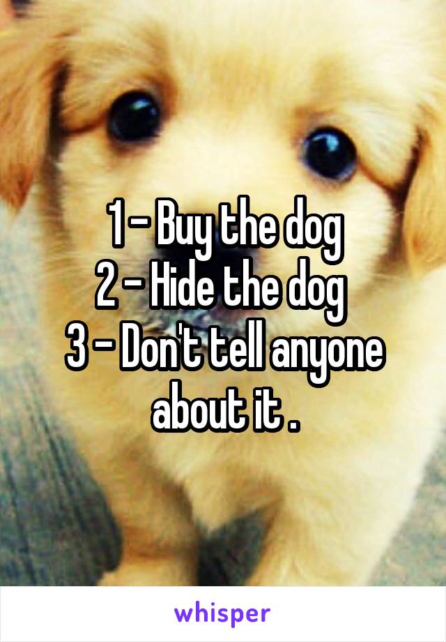 1 - Buy the dog
2 - Hide the dog 
3 - Don't tell anyone about it .