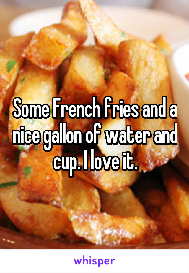 Some French fries and a nice gallon of water and cup. I love it.