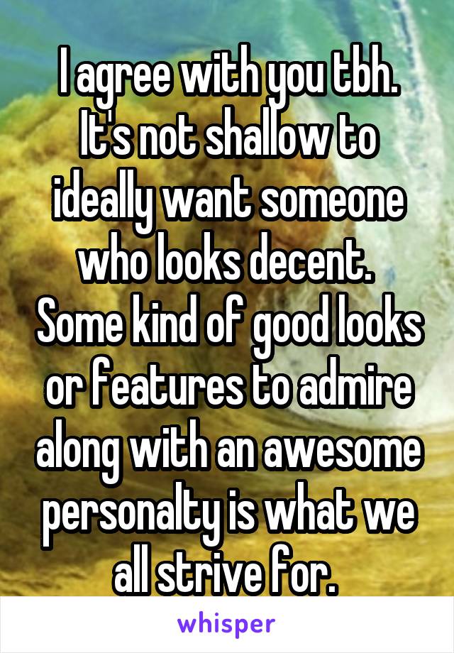 I agree with you tbh. It's not shallow to ideally want someone who looks decent.  Some kind of good looks or features to admire along with an awesome personalty is what we all strive for. 