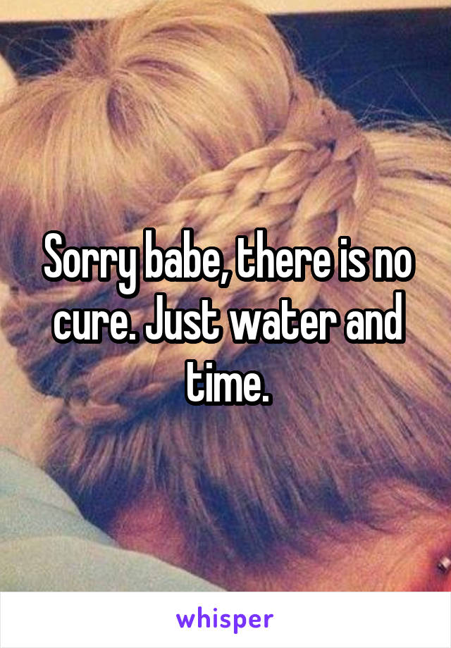 Sorry babe, there is no cure. Just water and time.