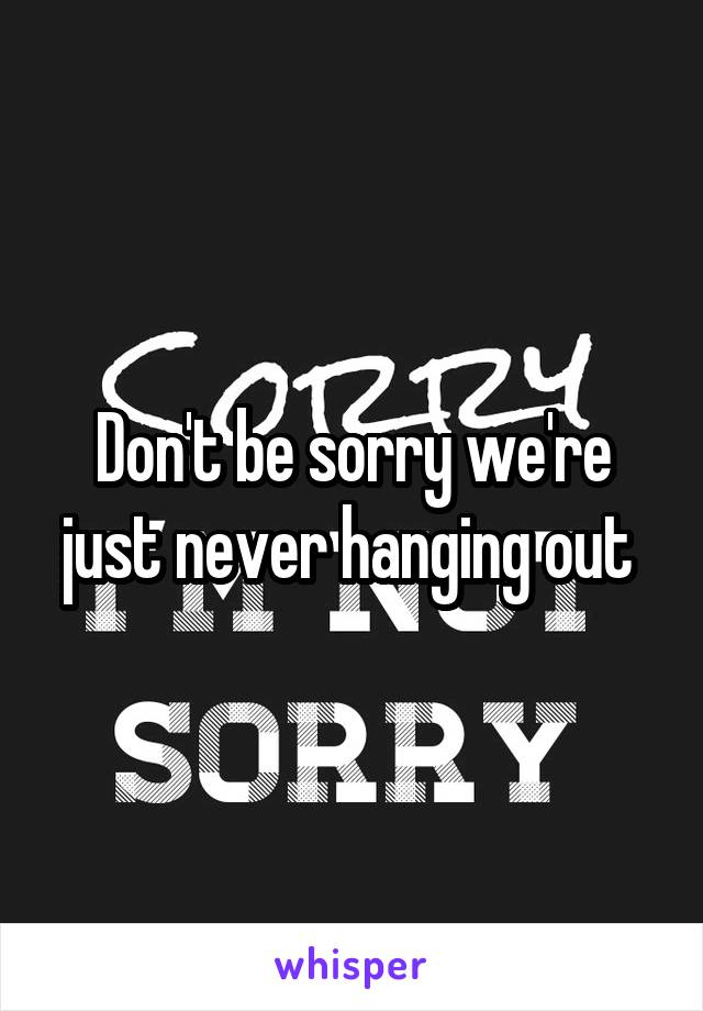 Don't be sorry we're just never hanging out 