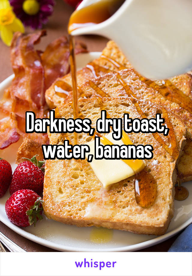 Darkness, dry toast, water, bananas