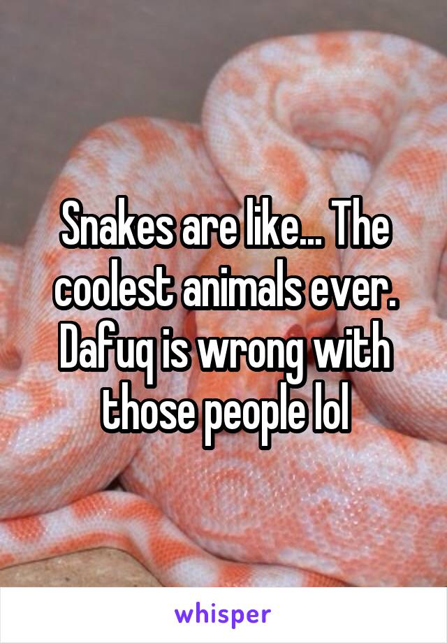Snakes are like... The coolest animals ever. Dafuq is wrong with those people lol