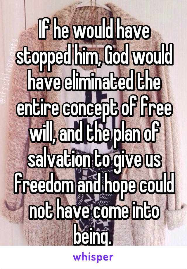 If he would have stopped him, God would have eliminated the entire concept of free will, and the plan of salvation to give us freedom and hope could not have come into being. 