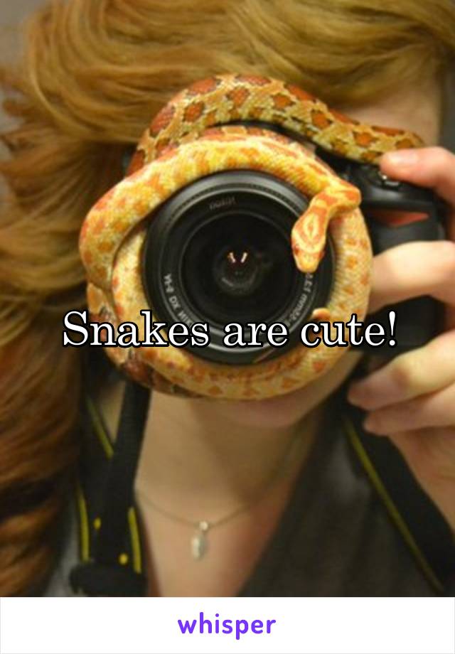 Snakes are cute!