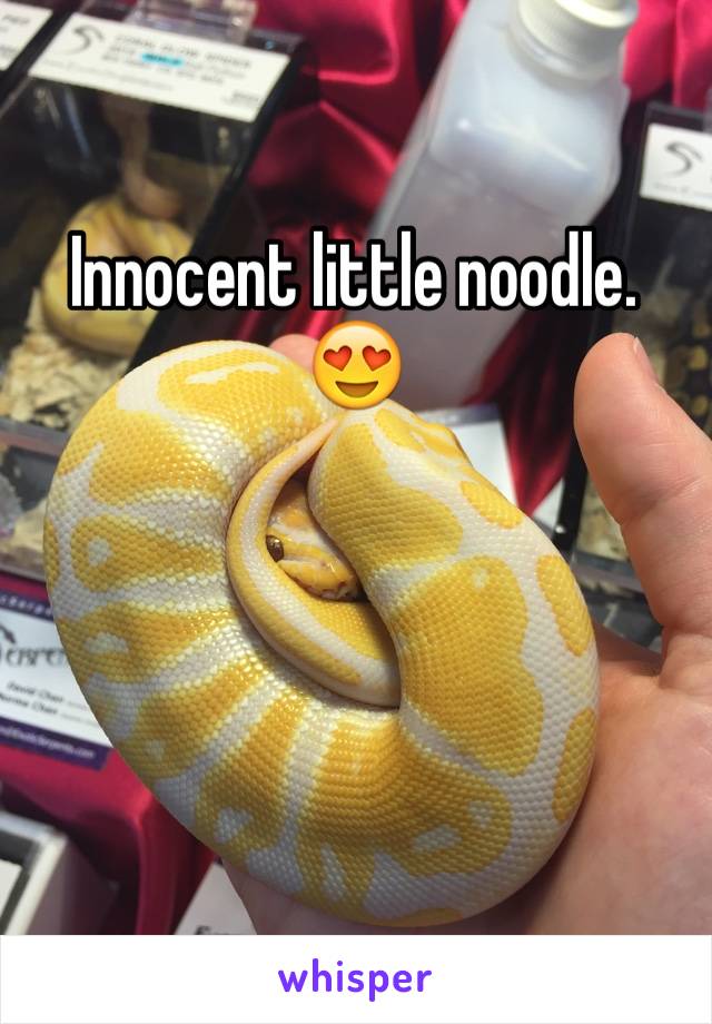 Innocent little noodle. 😍