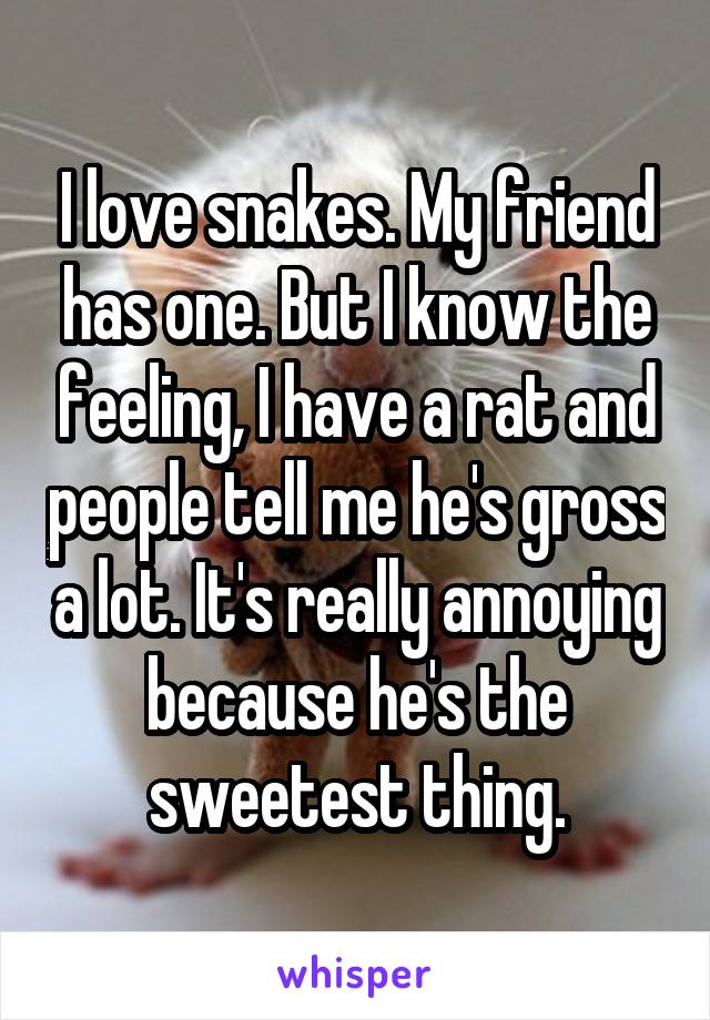 I love snakes. My friend has one. But I know the feeling, I have a rat and people tell me he's gross a lot. It's really annoying because he's the sweetest thing.