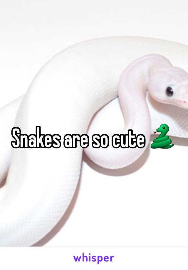 Snakes are so cute 🐍