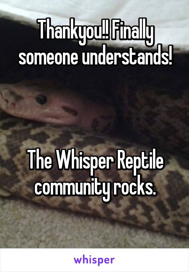 Thankyou!! Finally someone understands!



The Whisper Reptile community rocks.

