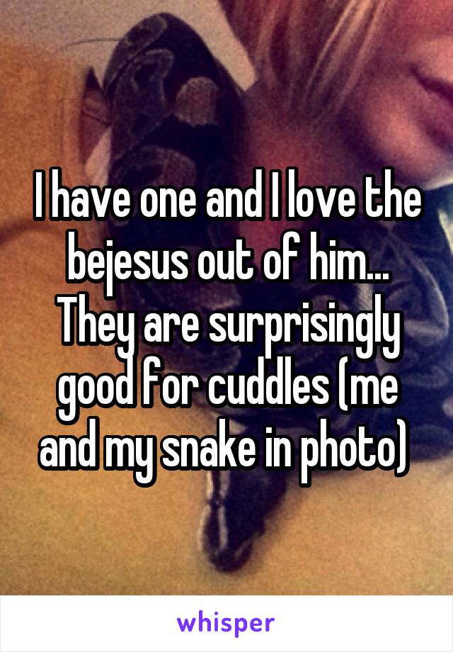 I have one and I love the bejesus out of him... They are surprisingly good for cuddles (me and my snake in photo) 