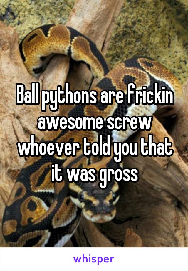 Ball pythons are frickin awesome screw whoever told you that it was gross