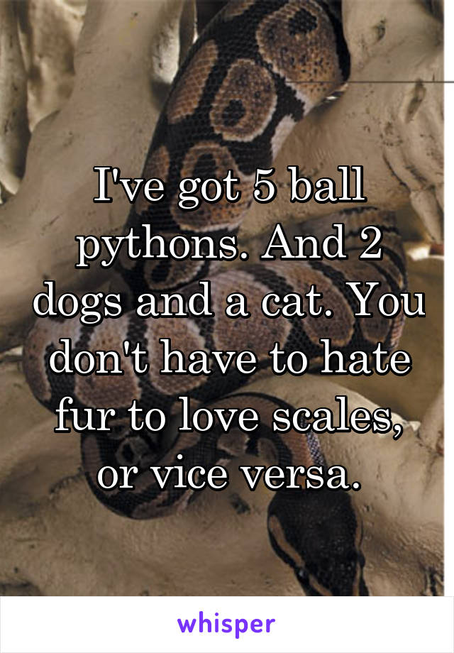I've got 5 ball pythons. And 2 dogs and a cat. You don't have to hate fur to love scales, or vice versa.