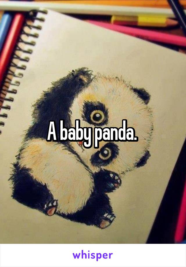 A baby panda. 