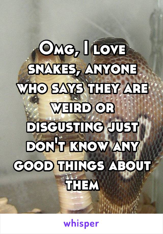 Omg, I love snakes, anyone who says they are weird or disgusting just don't know any good things about them