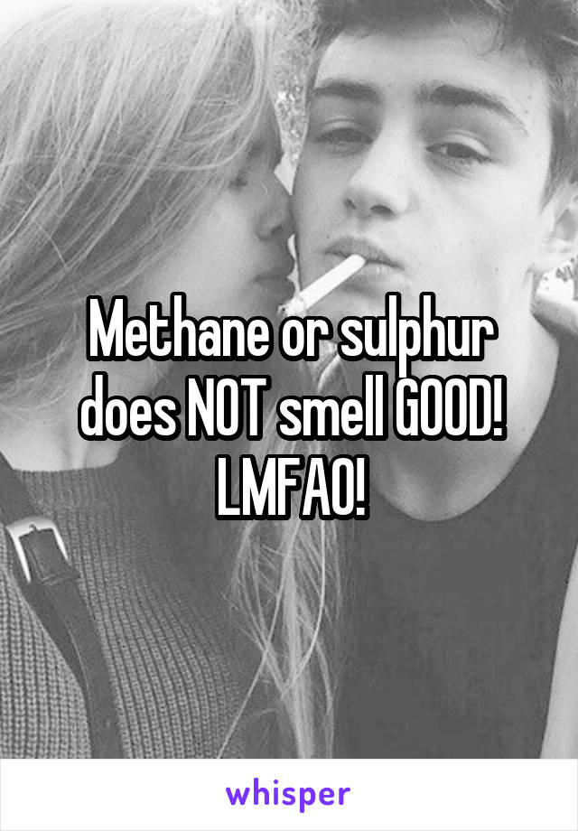 Methane or sulphur does NOT smell GOOD! LMFAO!