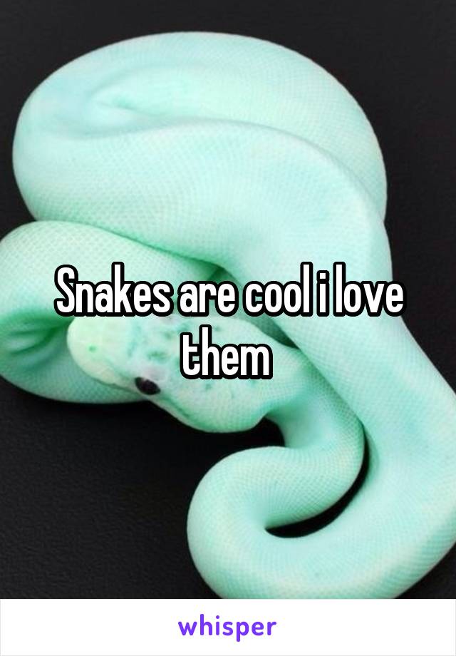 Snakes are cool i love them 