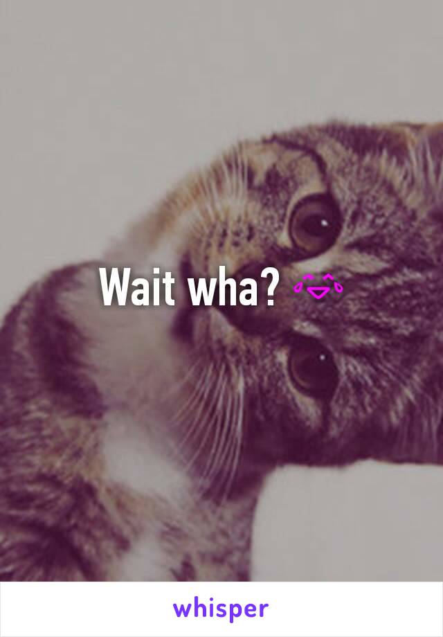 Wait wha? 😂
