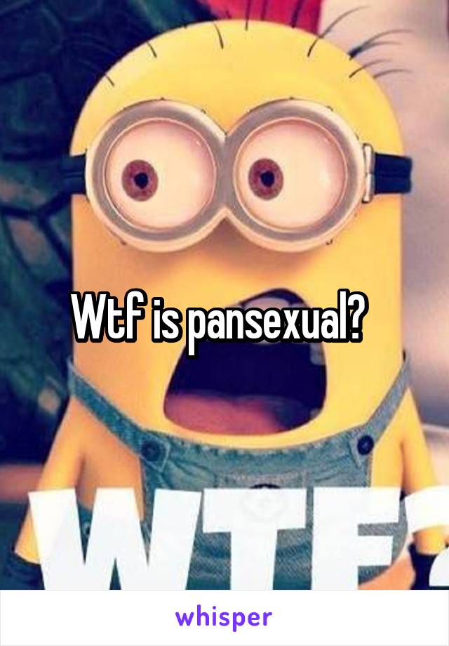 Wtf is pansexual?  