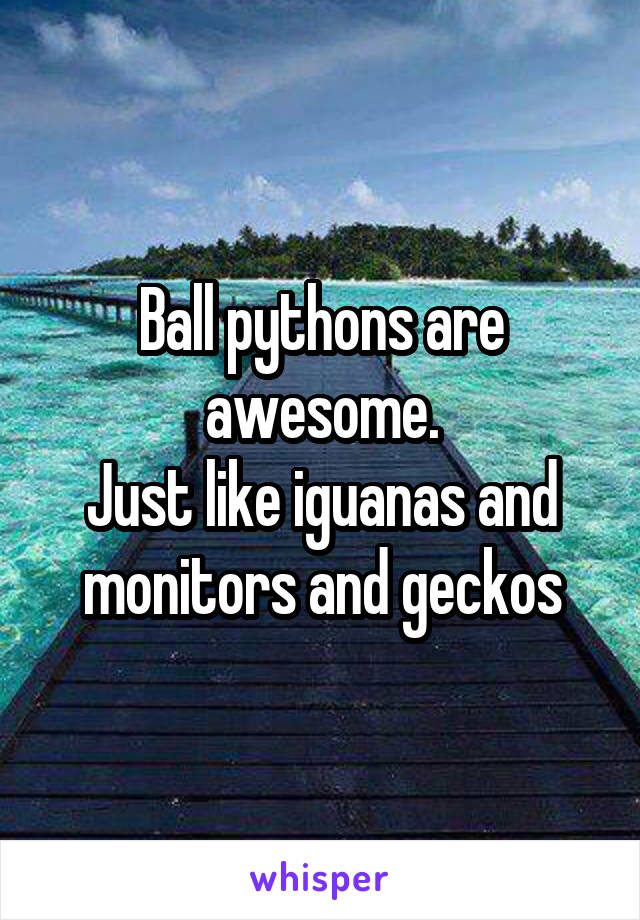 Ball pythons are awesome.
Just like iguanas and monitors and geckos