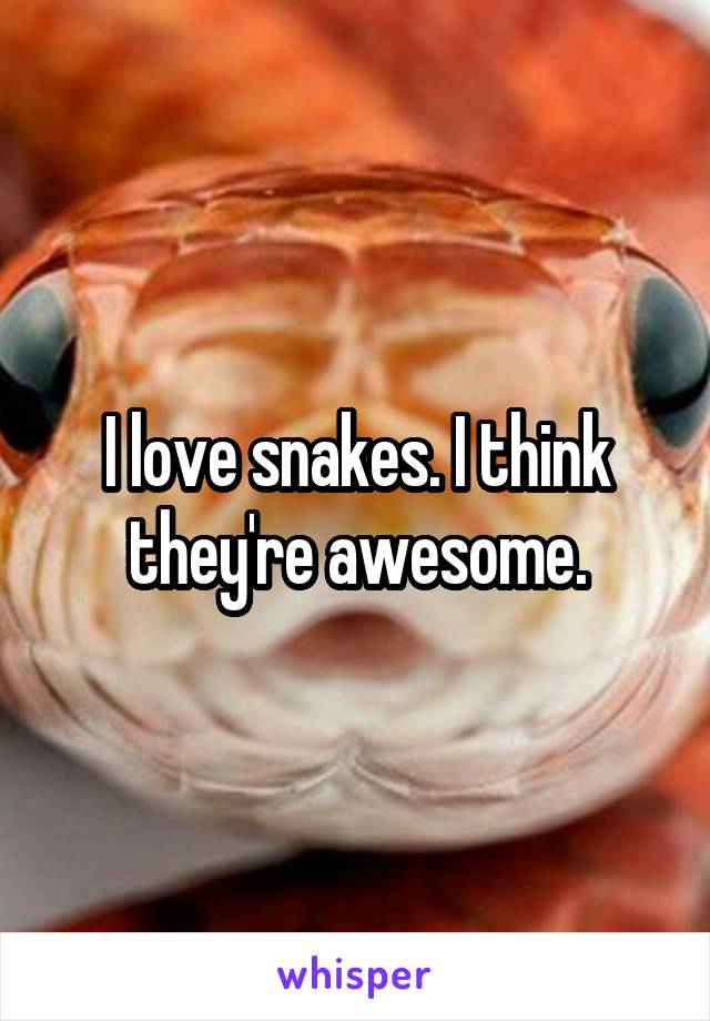 I love snakes. I think they're awesome.