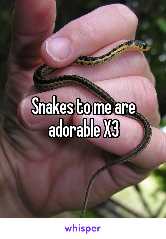 Snakes to me are adorable X3