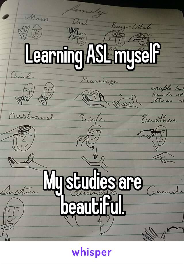 Learning ASL myself




My studies are beautiful.