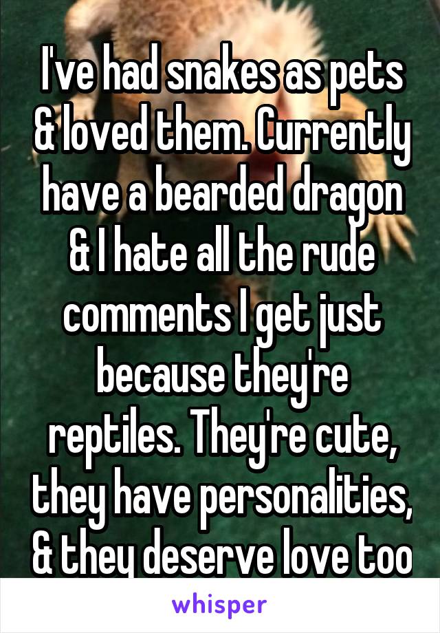 I've had snakes as pets & loved them. Currently have a bearded dragon & I hate all the rude comments I get just because they're reptiles. They're cute, they have personalities, & they deserve love too