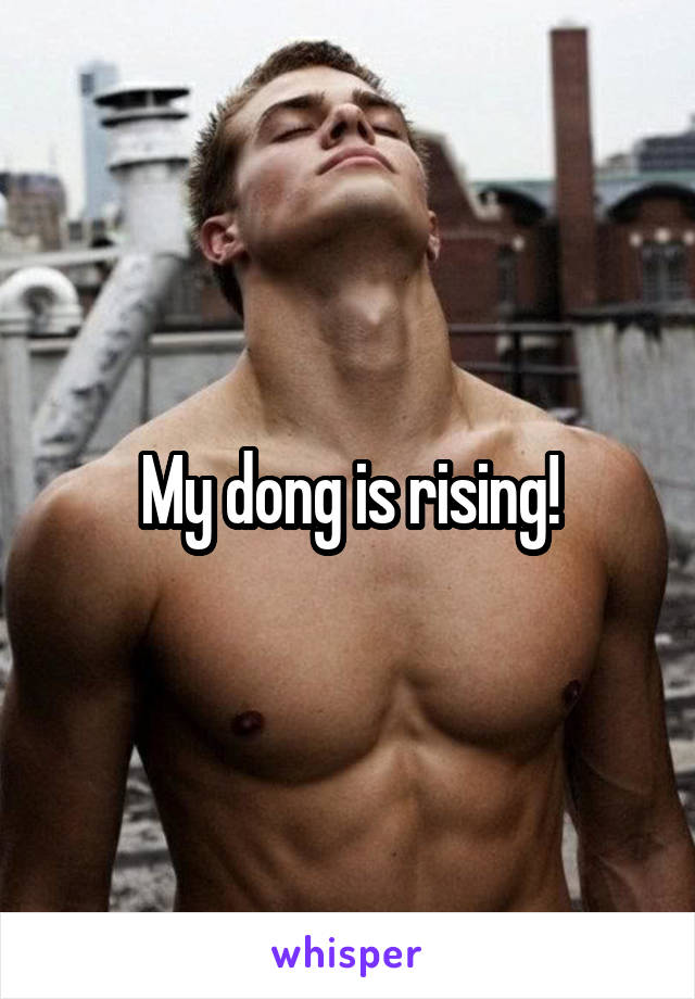 My dong is rising!