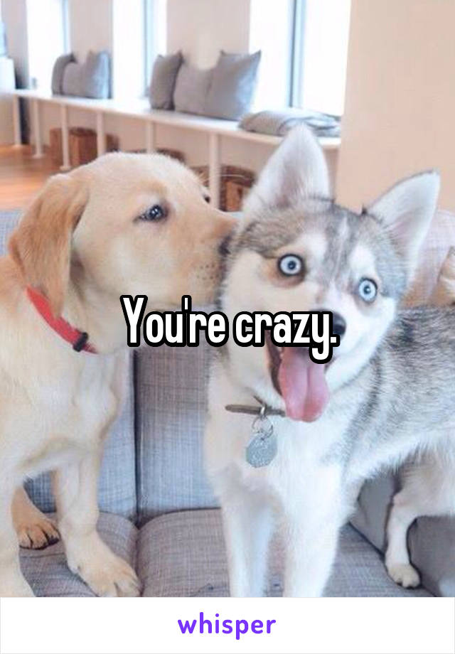 You're crazy.