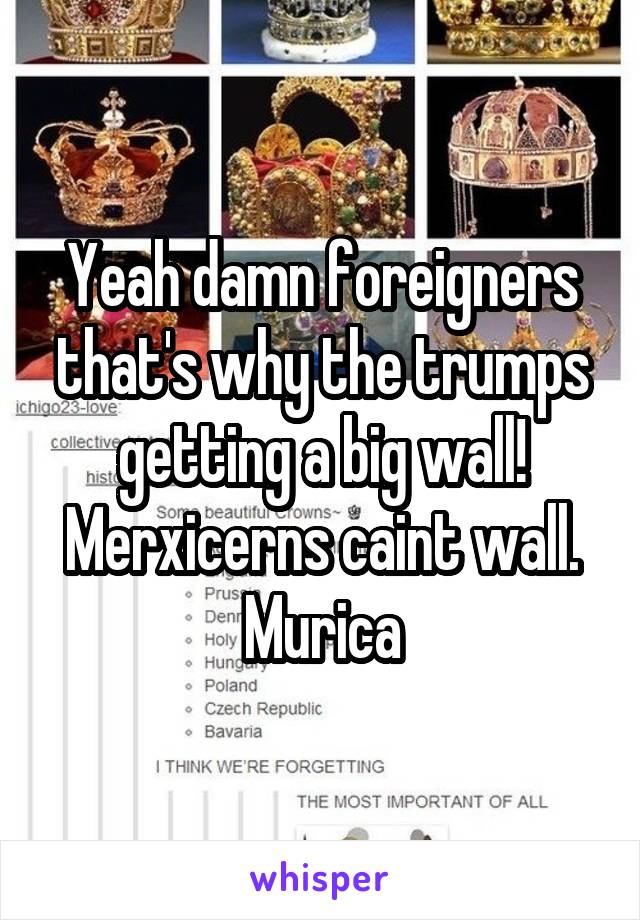 Yeah damn foreigners that's why the trumps getting a big wall! Merxicerns caint wall. Murica