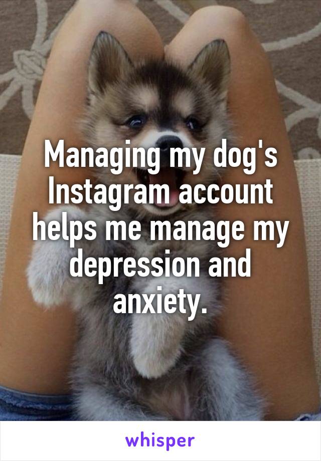 Managing my dog's Instagram account helps me manage my depression and anxiety.