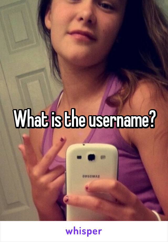 What is the username?