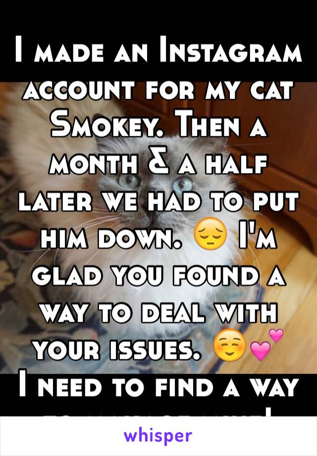 I made an Instagram account for my cat Smokey. Then a month & a half later we had to put him down. 😔 I'm glad you found a way to deal with your issues. ☺️💕
I need to find a way to manage mine!