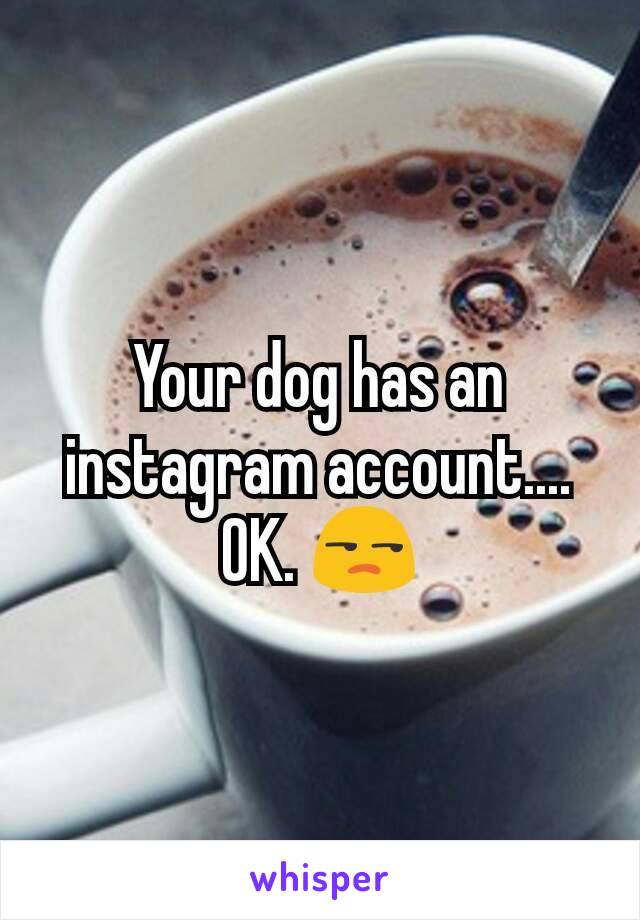 Your dog has an instagram account.... OK. 😒