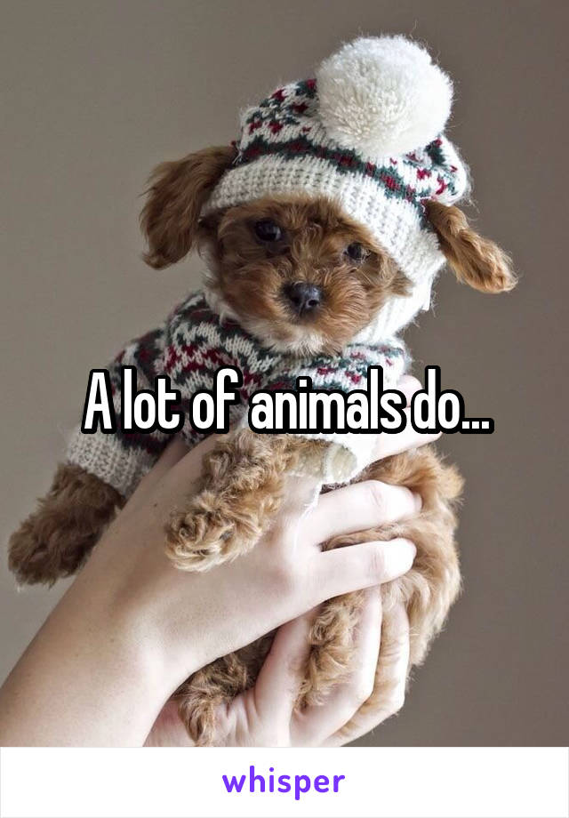 A lot of animals do...