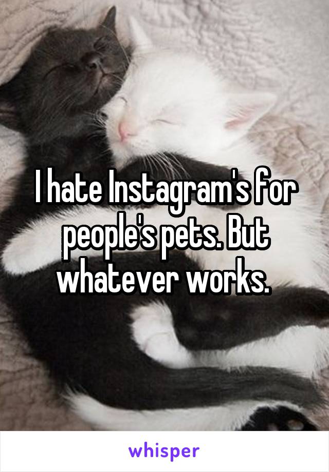 I hate Instagram's for people's pets. But whatever works. 