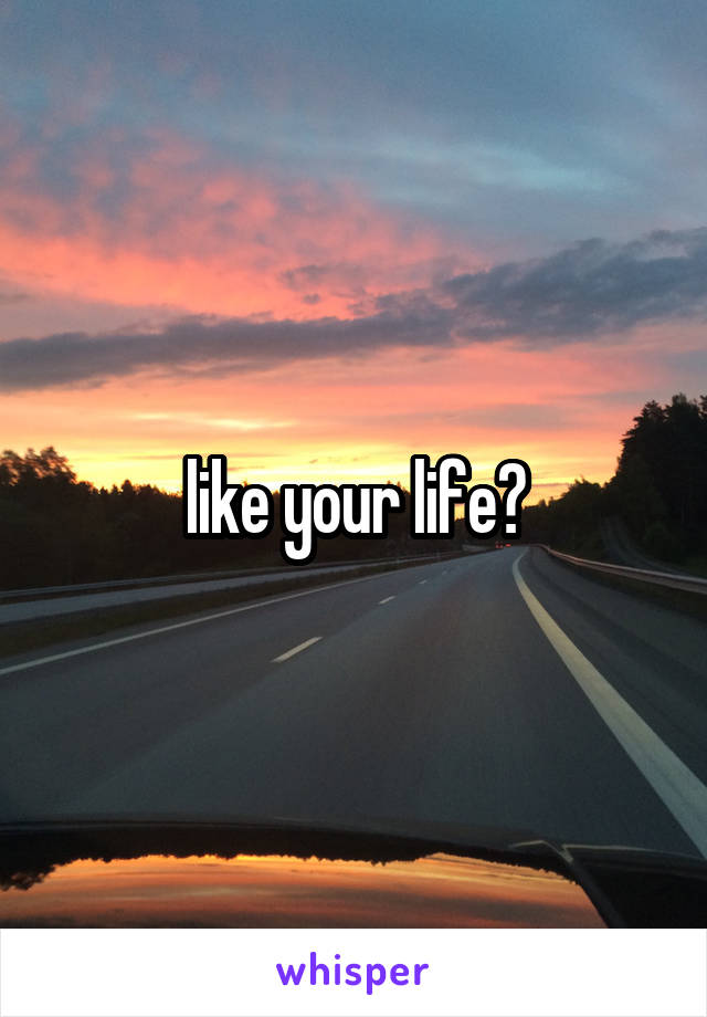 like your life?