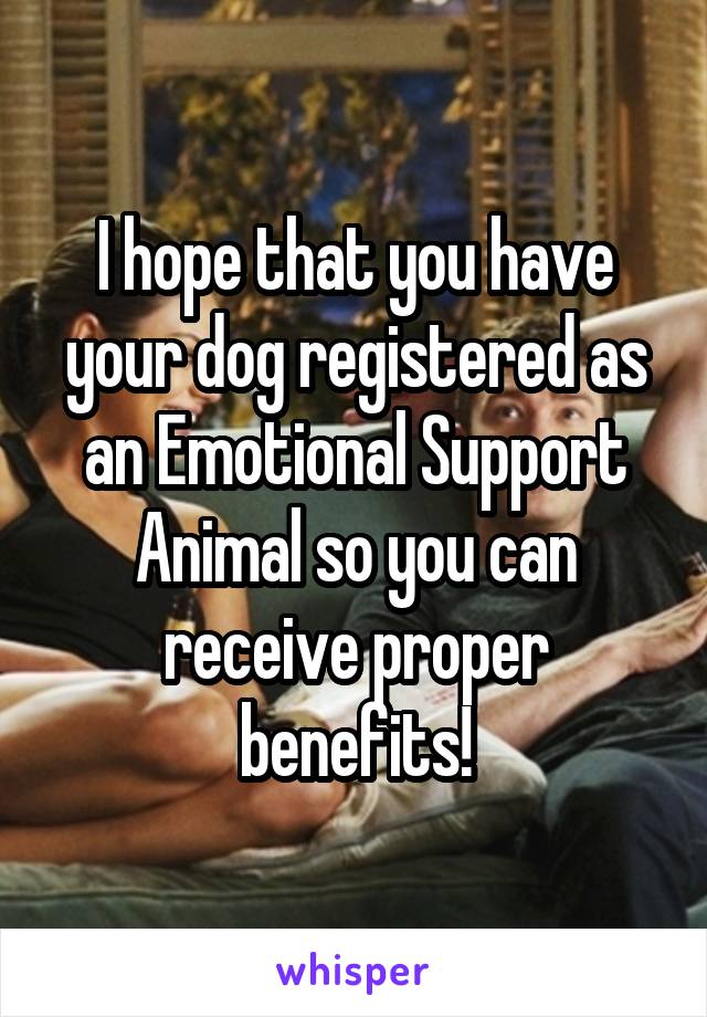 I hope that you have your dog registered as an Emotional Support Animal so you can receive proper benefits!