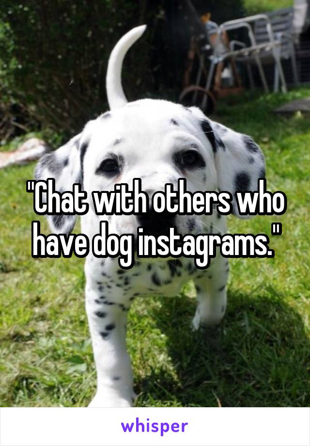 "Chat with others who have dog instagrams."