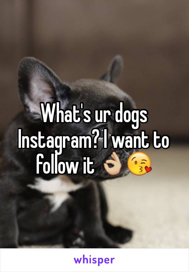 What's ur dogs Instagram? I want to follow it 👌🏼😘