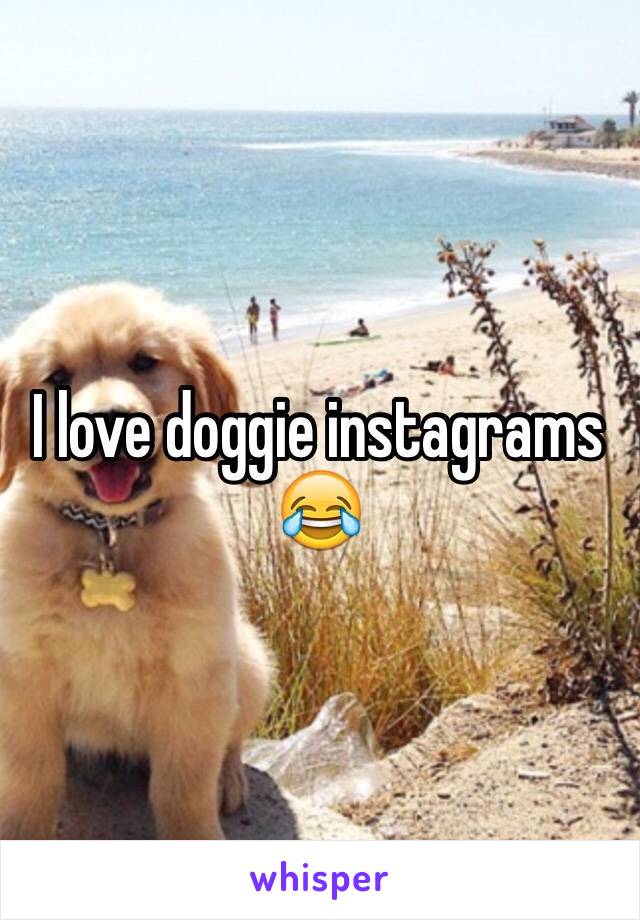 I love doggie instagrams 😂 