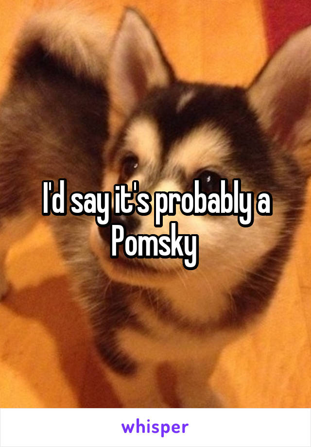 I'd say it's probably a Pomsky 