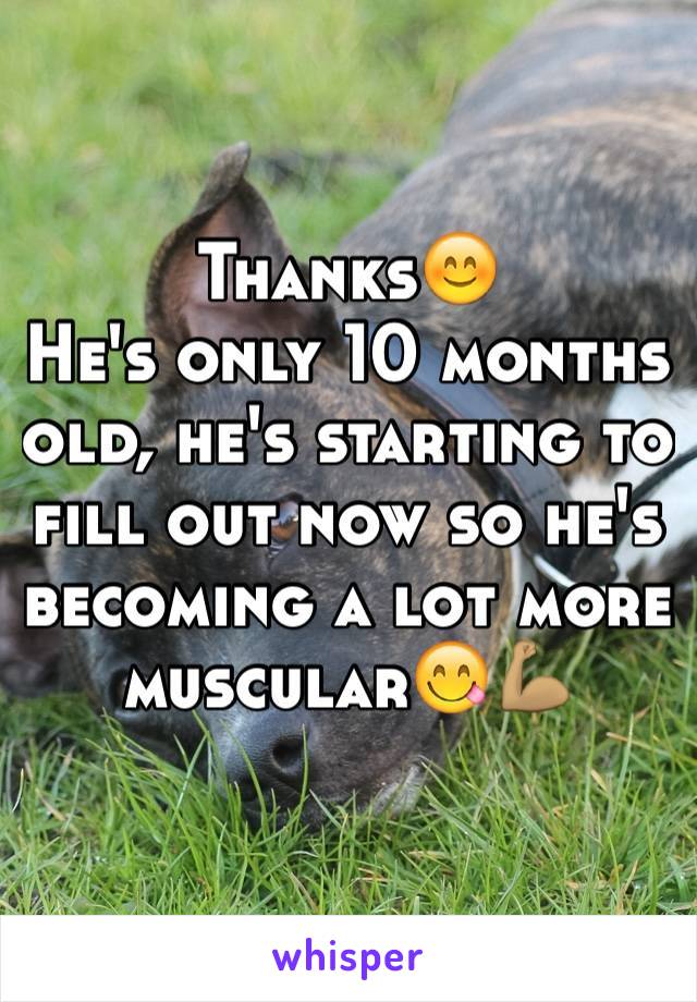 Thanks😊
He's only 10 months old, he's starting to fill out now so he's becoming a lot more muscular😋💪🏽