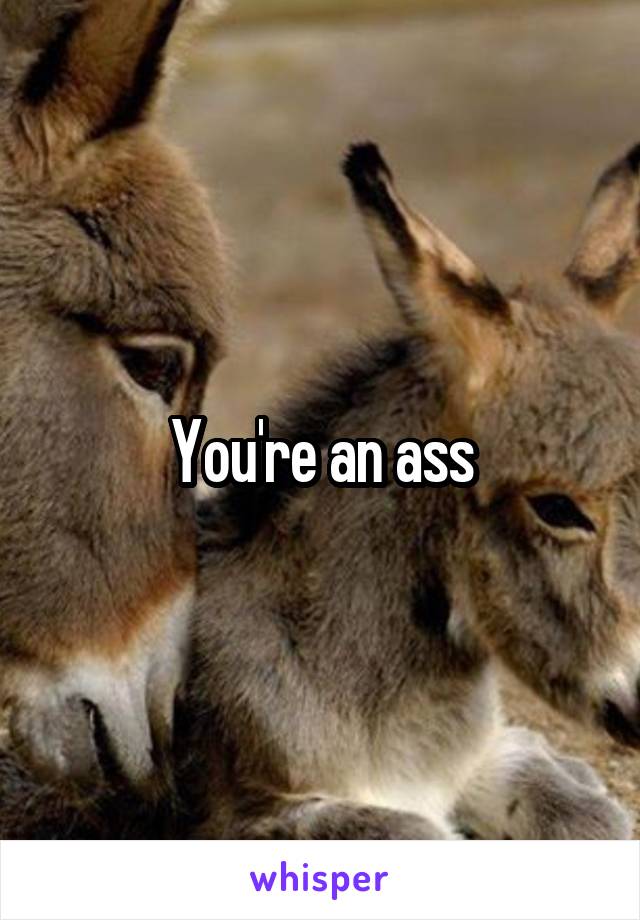 You're an ass